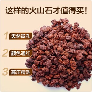 鱼缸火山石造景底砂材料装饰石头净水古法养鱼龟缸水草天然底沙子