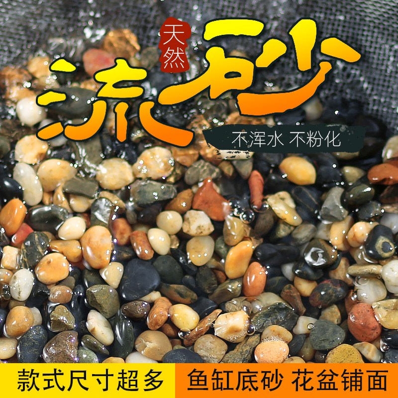 鱼缸天然底砂小石头鹅卵石溪流沙川藏石生态缸造景铺底白石雨林沙