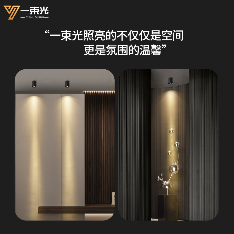 一束光聚光射灯明装茶室氛围酒柜工艺品摆饰绿植精准补光重点筒灯