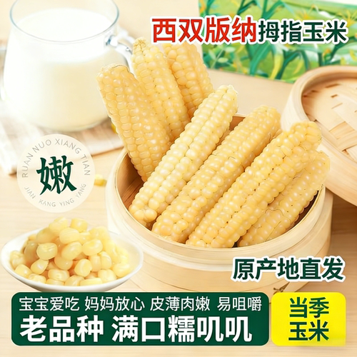 云南西双版纳拇指小玉米新鲜