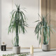 仿真绿植室内落地装 饰盆栽假植物轻奢沙生植物龙舌兰大型盆景