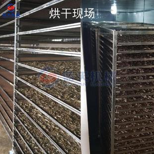 小鱼仔烘干机 空LT-XYZHG能小白条 烤干机全动小鱼干小杂鱼干货风