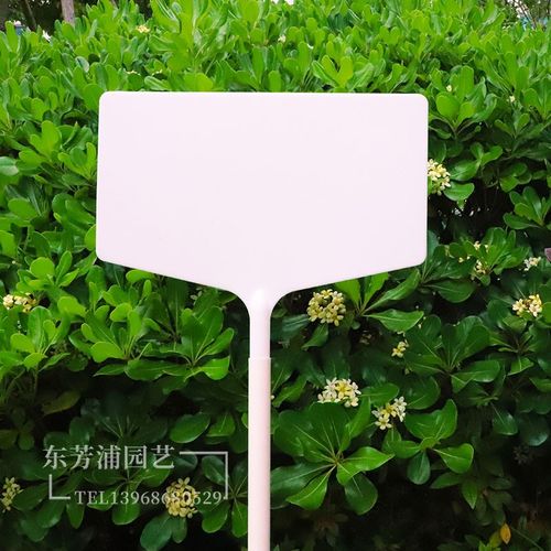 包邮加大号大面插地牌塑料防水园艺植物标签组合式田间试验插地牌