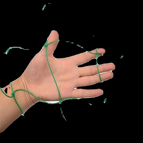 植物爬藤网园艺藤蔓攀爬花卉蔷薇瓜果丝瓜百香果家用庭院搭架网