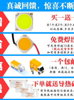 1919mm17mmCOB灯珠121518W20w24w30w36轨道射灯天花灯芯led配件