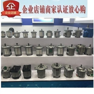 F6R 齿轮泵HGP HGP F5R F8R