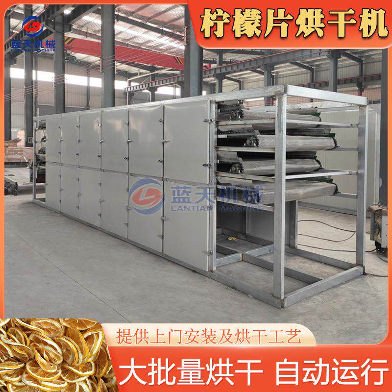柠檬片烘干机 全自动网带柠檬蜜饯风干机 柠果水果片脱水烘干设备