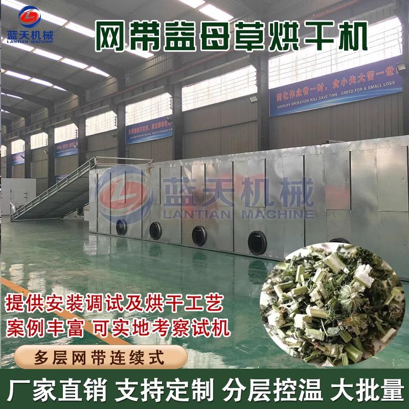 益母草烘干机 益母蒿益母艾烘干设备 生物质燃料网带中草药干燥机