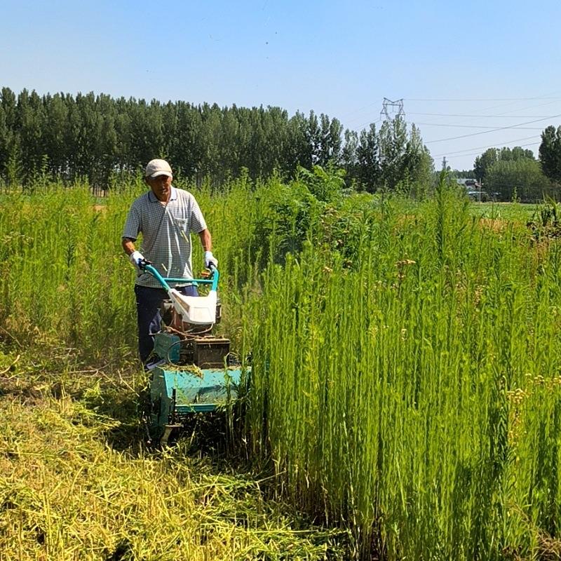 不怕草高自走式碎草还田机 果园园林轻松管理割草机 桃园除草机