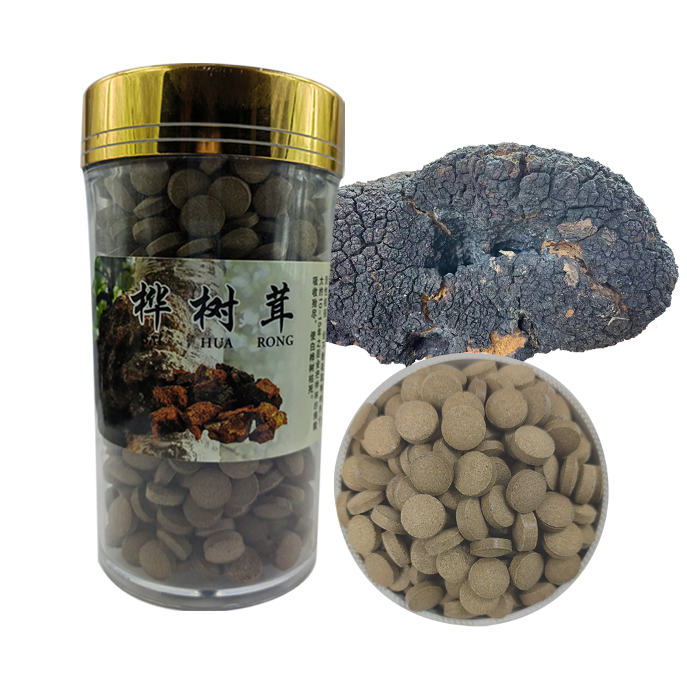 桦树茸压片桦褐孔菌白桦茸