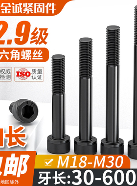 半牙12.9级杯头加长内六角螺丝M18m20m22M24m27m30-600mm圆柱螺栓