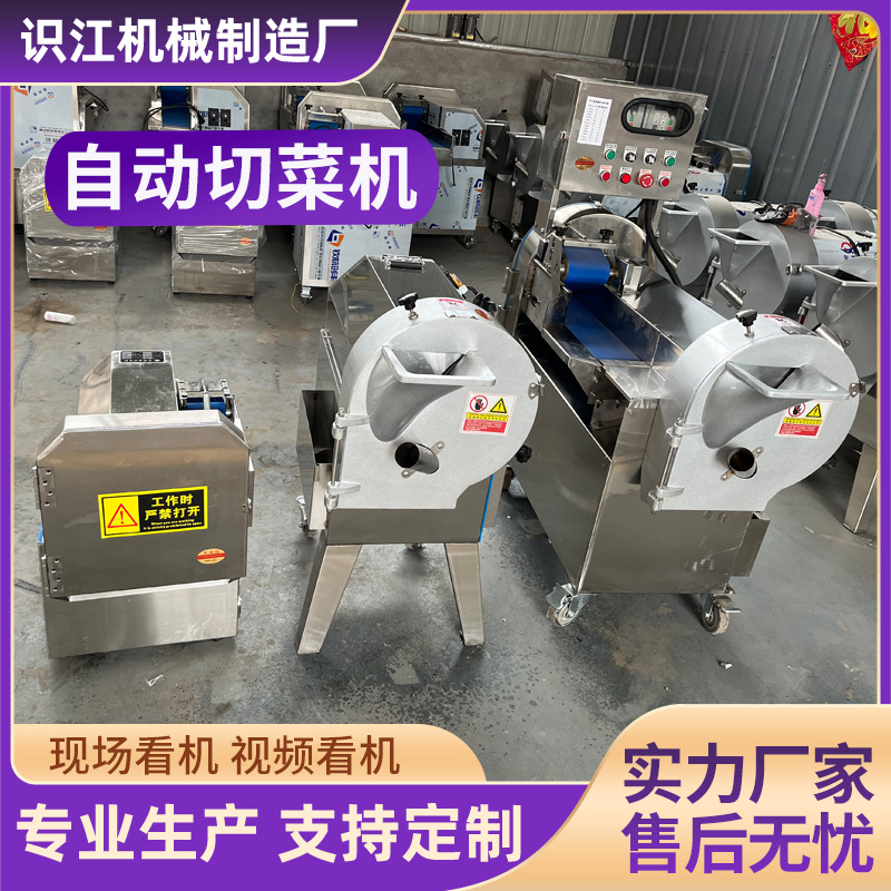 商用切菜机不锈钢蔬菜瓜果切片机切丝切片切丁切段切块多功能机械