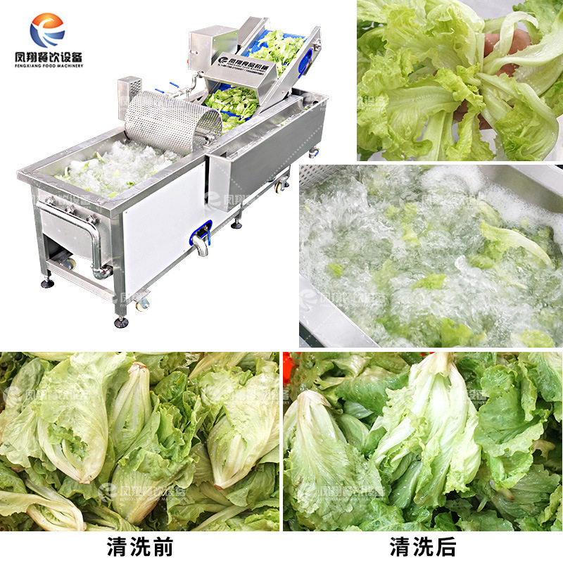 凤翔 工厂直销WA-1000果蔬气泡清洗机生菜清洗去农残去虫卵洗菜机,清洗/食品/商业设备,洗果机/洗菜机,淘宝优惠券,粉丝福利购,淘宝优惠卷
