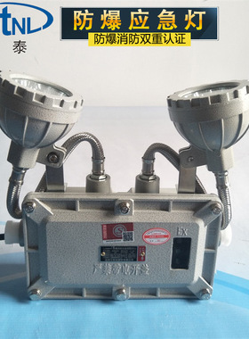 消防防爆应急照明灯 防爆消防应急灯 ZFZD-E6W-BAJ52