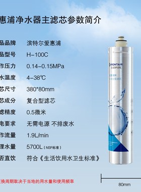 滨特尔爱惠浦净水器H100滤芯H104主滤芯EVP-6000 EVP3000EV961116