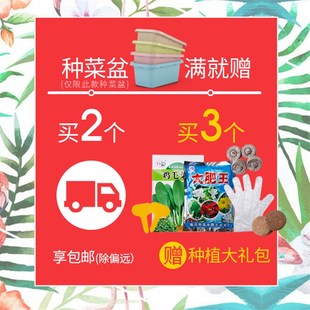 长方形塑料花盆长条壁挂绿萝懒人自吸水盆阳台种菜神器家庭种菜盆