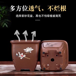 宜兴紫砂花盆陶瓷小四方透气簕竹君子兰内门竹绿植花卉专用兰花盆
