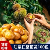 栗子板栗仁即食小包装 油栗仁坚果开袋即食板栗办公解馋非糖炒栗子