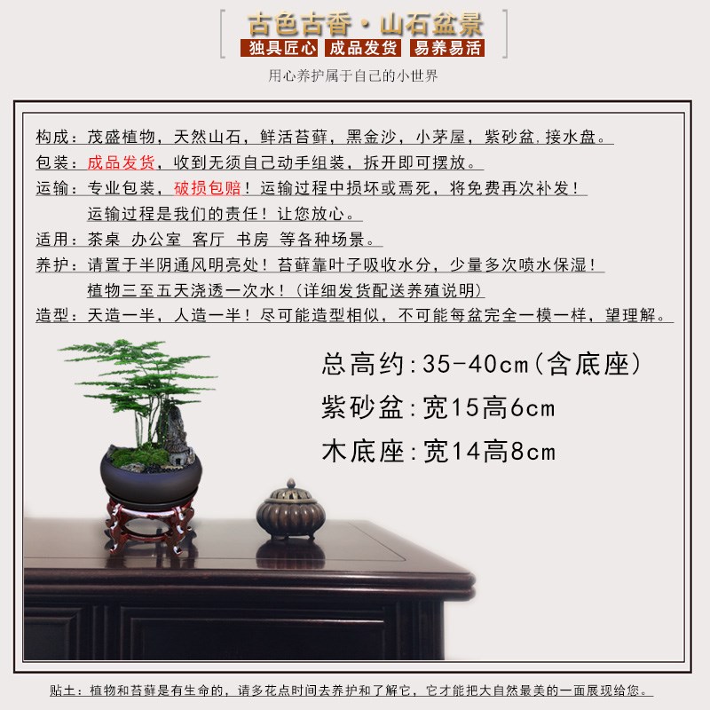 办公室绿植盆栽桌面好养室内植物文竹小叶紫檀罗汉松发财树真盆景