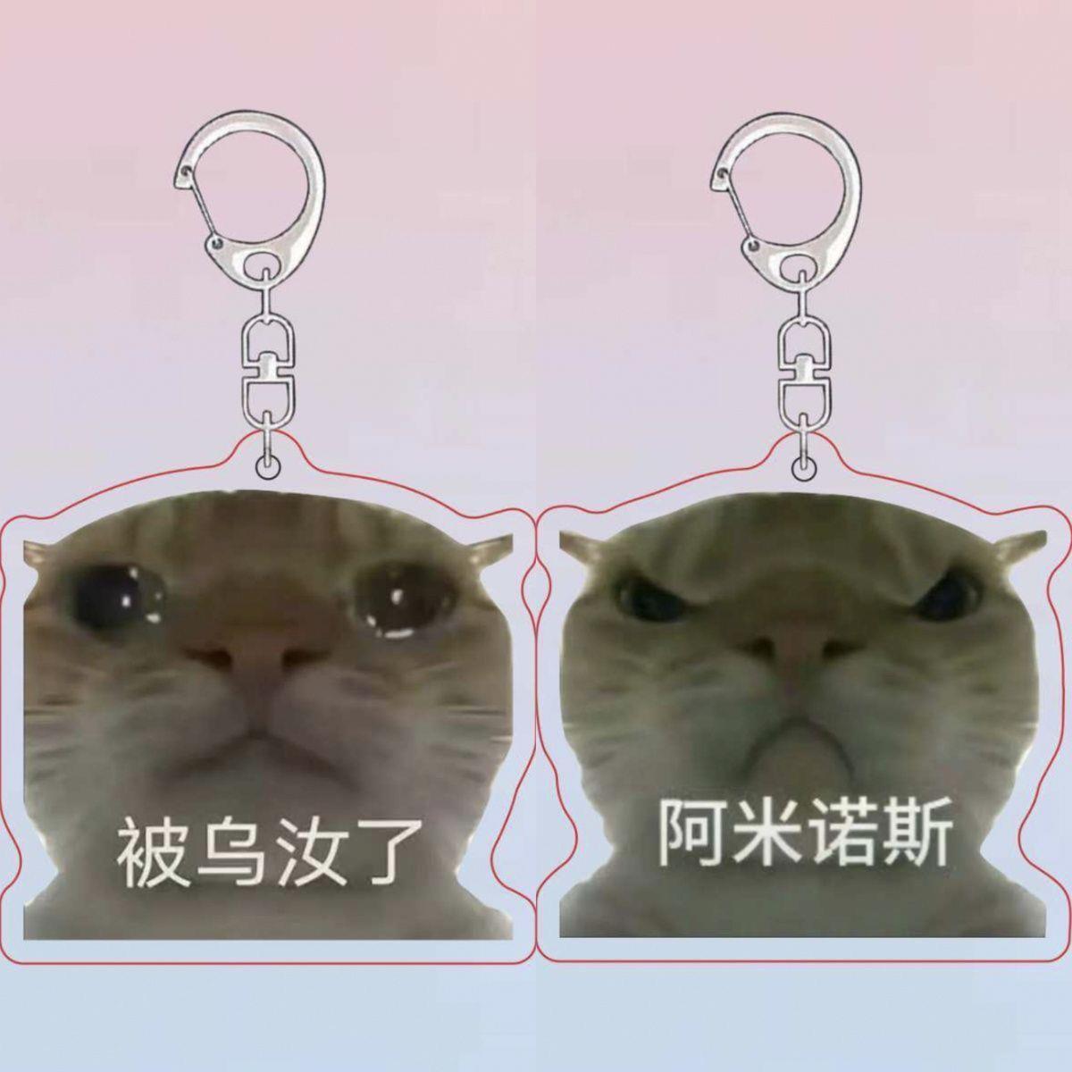 歪嘴奇葩小猫钥匙扣搞怪沙雕恶搞礼物搞笑挂饰生日小礼物书包挂件