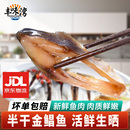 阳江金鲳鱼干 肉厚少刺海鲜下饭菜咸鱼干货广东特产金昌鱼干