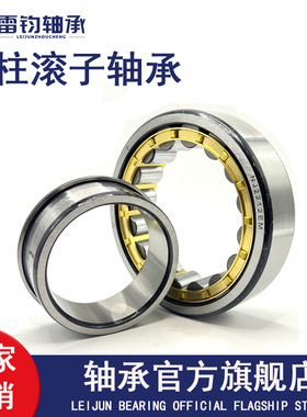 圆柱滚子轴承N NU NJ216 217 218 219 220 221 222 224 226 228EM