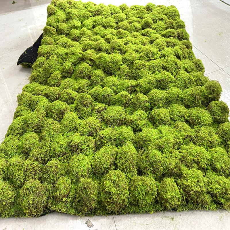 造型苔藓青苔地毯造景垫子人造草皮婚庆盆栽草坪塑料草地装饰