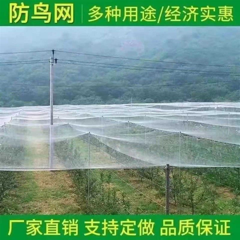 防鸟网果园防鸟网葡萄樱桃防鸟丝网果树防鸟用网防鸟罩全罩果园防,农机/农具/农膜,农用防鸟网,淘宝优惠券,粉丝福利购,淘宝优惠卷
