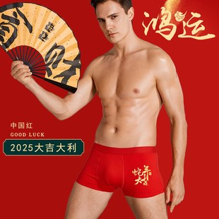 本命年男士 纯棉属蛇四角平角裤 红色 男袜子套装 2025蛇年本命年内裤