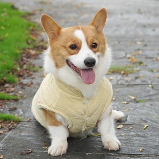 柯基衣服冬季可牵引鹿皮绒马甲棉服小型犬比熊狗狗保暖秋冬衣服