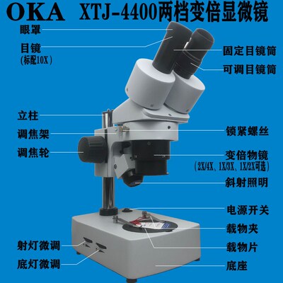 奥卡双目体视显微镜10X20X30X40X两档变倍维修鉴赏解刨XTJ-4400