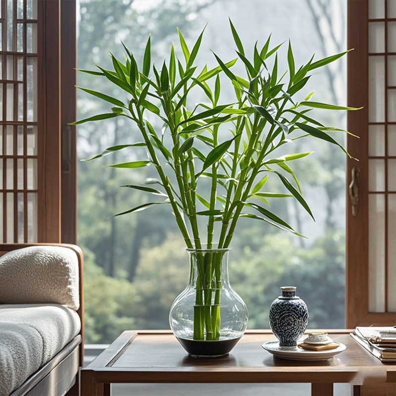 花点时间花瓶水培富贵竹植物竹子客厅旺宅绿植节节高水养粗杆绿竹