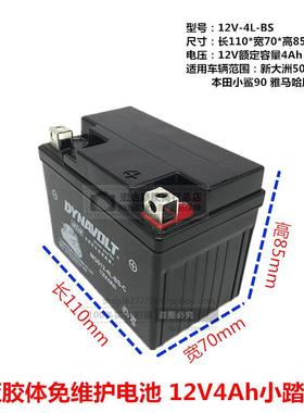 潇洒木兰50CC 踏板90电瓶YB4L-B(12V4a) 摩托车蓄电池12N4-3B电池