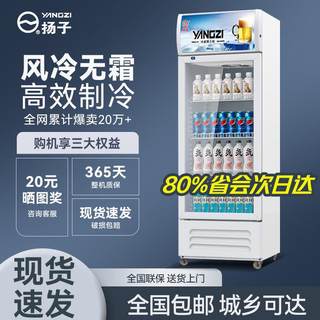 扬子单门风冷饮料展示柜冷藏冰柜保鲜柜冷饮冷柜商用啤酒冰箱立式
