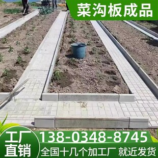 河南菜地沟板f模具菜沟板路面水泥庭院围栏沿路围边石模板菜园地