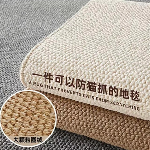 地毯客厅免打理免洗可擦沙发卧室床边飘窗猫抓板入户地垫拍照亚麻