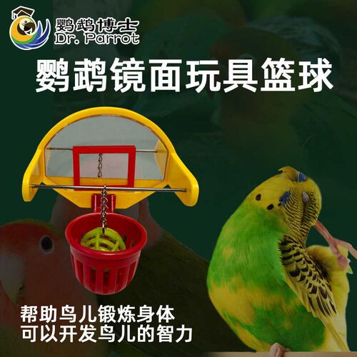 鹦鹉镜面篮球啃咬趣味玩具鸟用品娱乐解压解闷开发智力鸟磨嘴磨牙