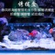 水族箱海水鱼缸珊瑚缸捕蟹盒钢毛虫小鱼诱捕盒抓螃蟹神器捕蟹工具