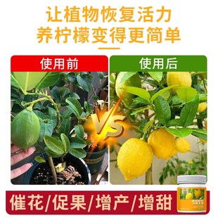 柠檬树肥料专用颗粒肥营养液缓释肥复合肥盆栽挂果结果有机肥