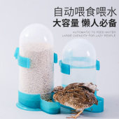 芦丁鸡喂食器鹦鹉自动下料器鸽子饮水器水壶鸟食盒雏鸡小鸡喂水器