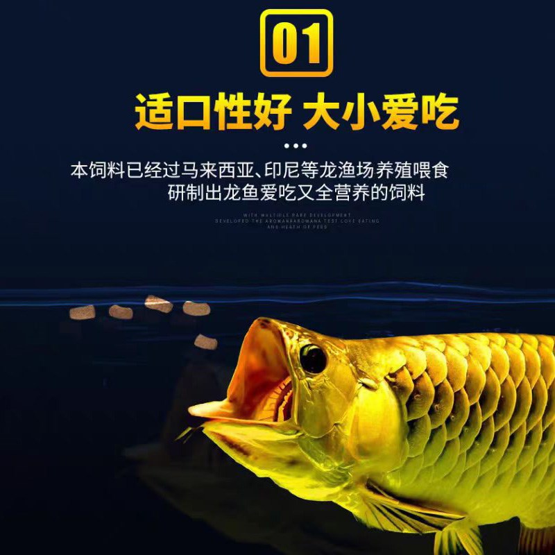 速倍妥龙鱼饲料红龙鱼专用鱼食上浮颗粒虾红素不喷油小金龙鱼鱼粮