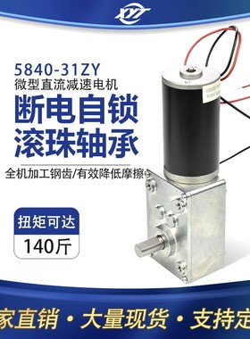 25840-31ZY涡轮蜗杆大扭力小马达12V24V微型永磁无刷直流减速电机
