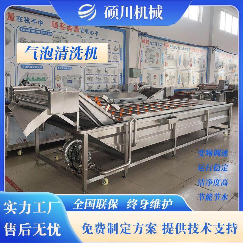 酸菜清洗脱盐机海带丝裙带菜清洗设备草莓樱桃四季豆气泡清洗机,清洗/食品/商业设备,其他食品加工设备,淘宝优惠券,粉丝福利购,淘宝优惠卷