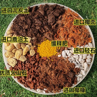 风信子专用土葡萄风信子种球土培营养土球根类植物盆栽种植土肥料