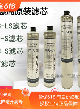 爱惠浦4FC 4FC-S 7FC 7FC-S 4FC-LS 4C 7FT净水器商家用替换滤芯