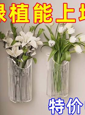 透明壁挂置物架水培植物壁式花盆创意客厅墙壁装饰挂件绿萝植花瓶