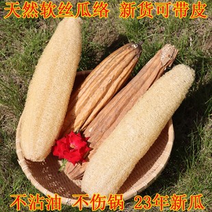 天然丝瓜络带壳水瓜筋有皮锅刷去A污不沾油百洁布洗碗神器干丝瓜