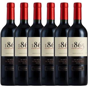 智利原瓶进口红酒圣佩特罗1865赤霞珠干红葡萄酒750ml*6整箱正品