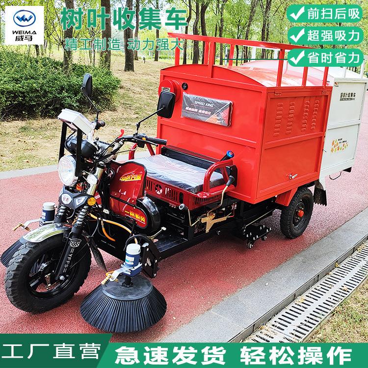 新能源树叶收集车两刷吸树叶机驾驶式吸叶机电动树叶清扫收集车