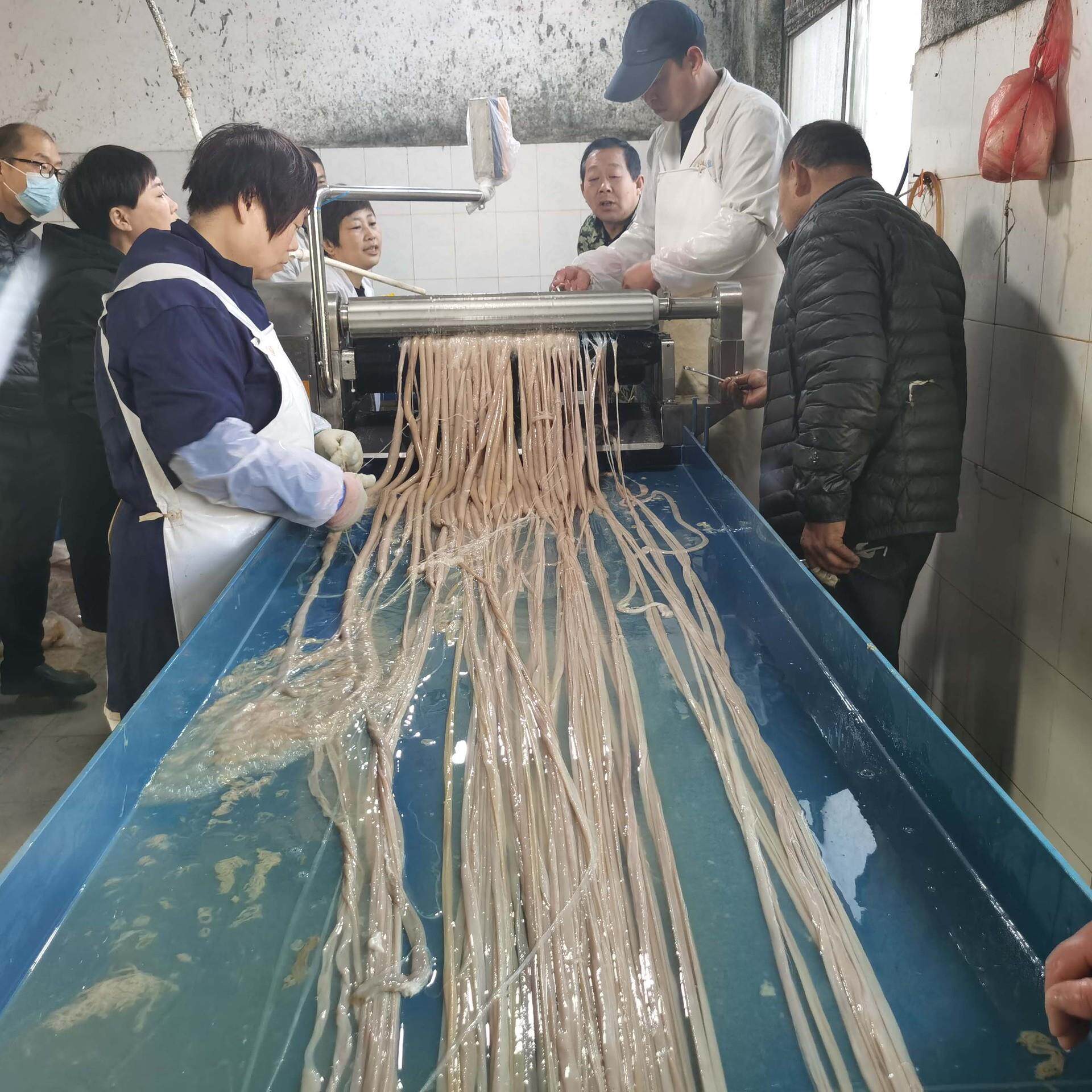 猪小肠羊小肠清洗机肝素钠生产线304不锈钢小肠清洗机肠衣清洗机